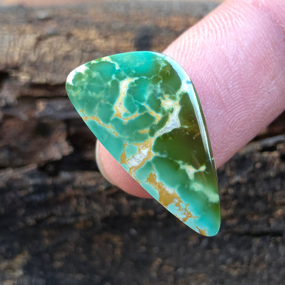 Natural Royston Turquoise Triangular