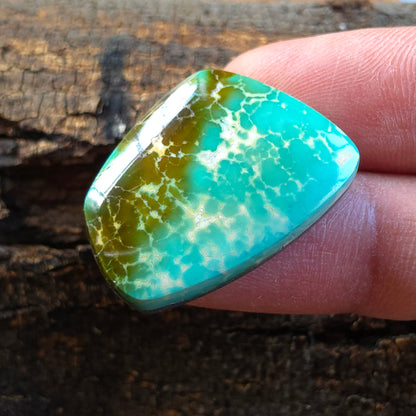Natural Royston Turquoise Freeform