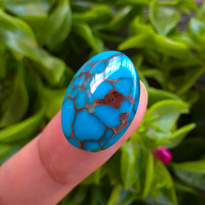 Stabilized Egyptian Prince Turquoise Oval