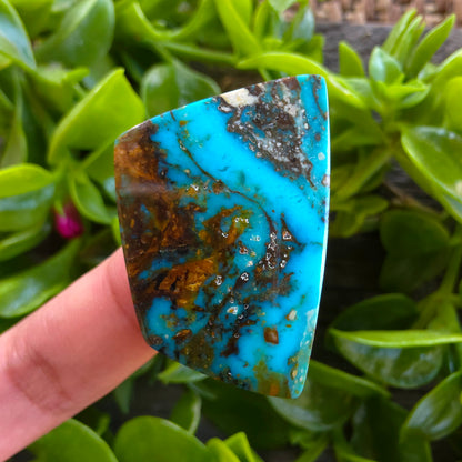 Stabilized Kingman Ceremonial Turquoise Freeform