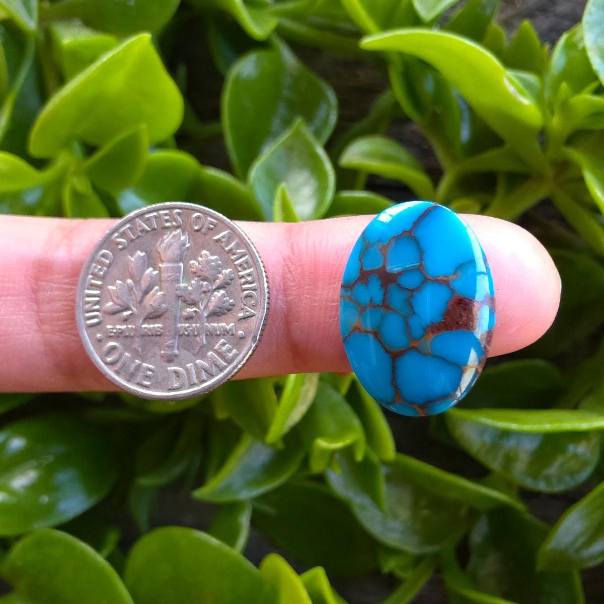 Stabilized Egyptian Prince Turquoise Oval