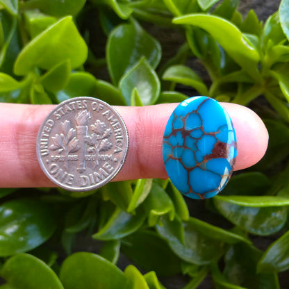 Stabilized Egyptian Prince Turquoise Oval