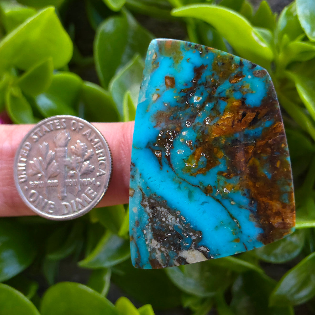 Stabilized Kingman Ceremonial Turquoise Freeform