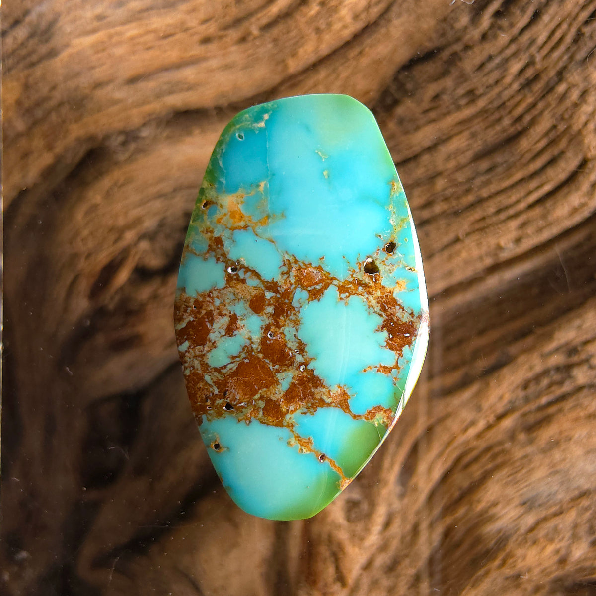 Stabilized Sonoran Gold Turquoise Freeform