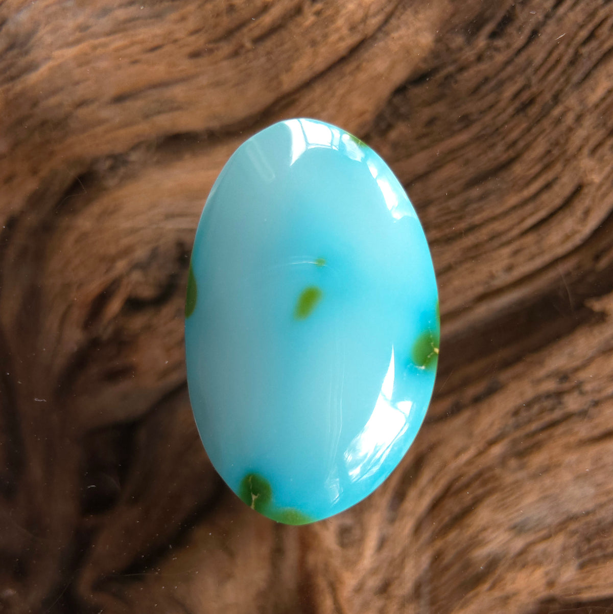 Stabilized Sonoran Gold Turquoise Freeform