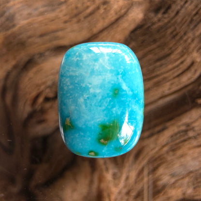 Stabilized Sonoran Gold Turquoise Rectangular