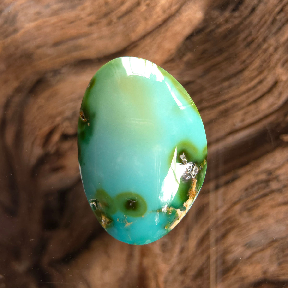 Stabilized Sonoran Gold Turquoise Freeform