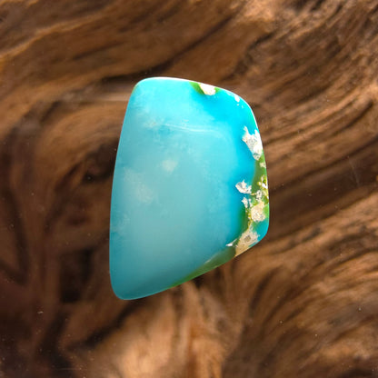 Stabilized Sonoran Gold Turquoise Freeform