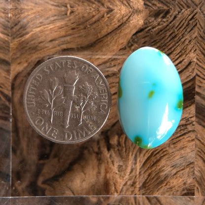 Stabilized Sonoran Gold Turquoise Freeform