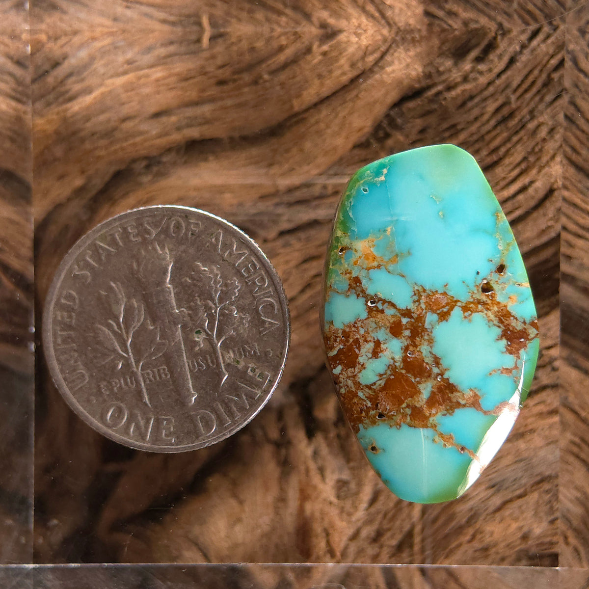 Stabilized Sonoran Gold Turquoise Freeform
