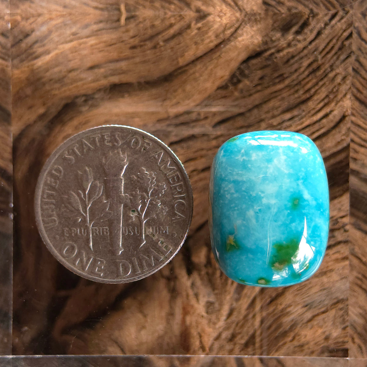 Stabilized Sonoran Gold Turquoise Rectangular