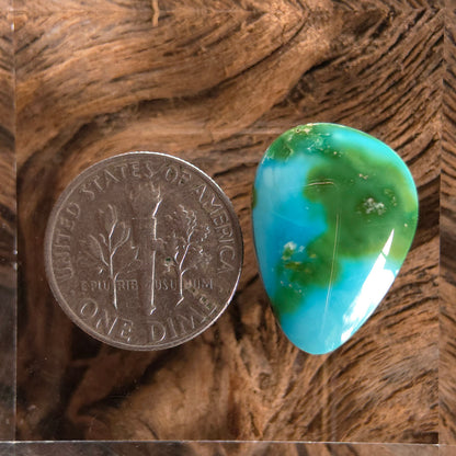 Stabilized Sonoran Gold Turquoise Freeform