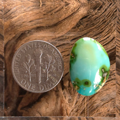 Stabilized Sonoran Gold Turquoise Freeform