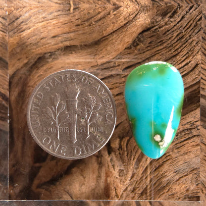 Stabilized Sonoran Gold Turquoise Freeform