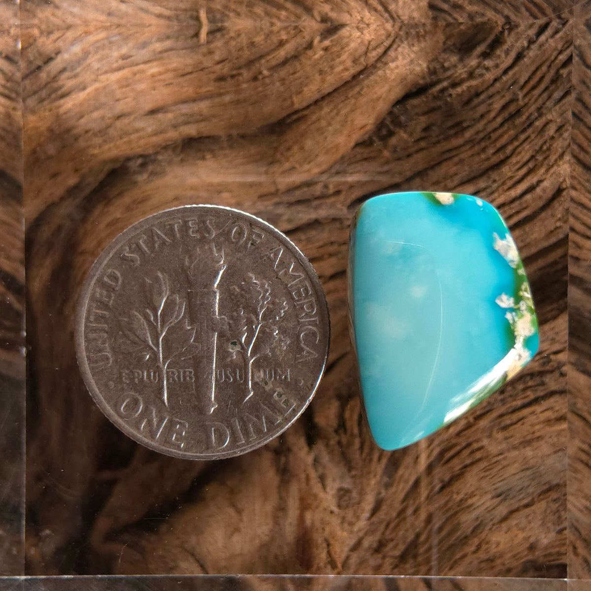 Stabilized Sonoran Gold Turquoise Freeform