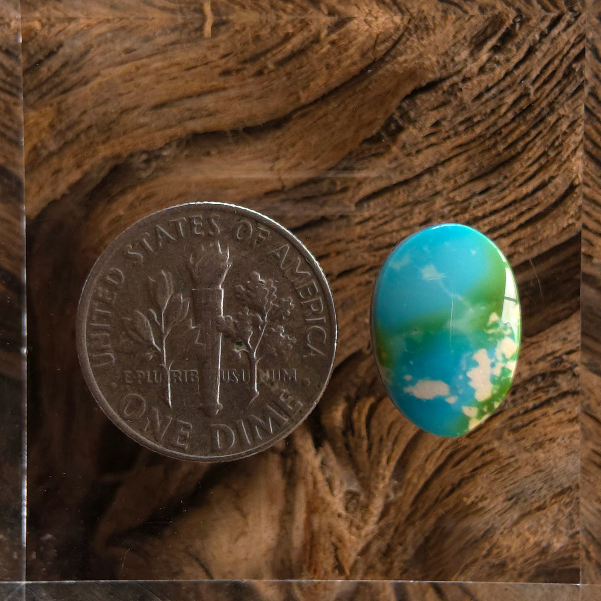 Stabilized Sonoran Gold Turquoise Oval