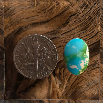 Stabilized Sonoran Gold Turquoise Oval