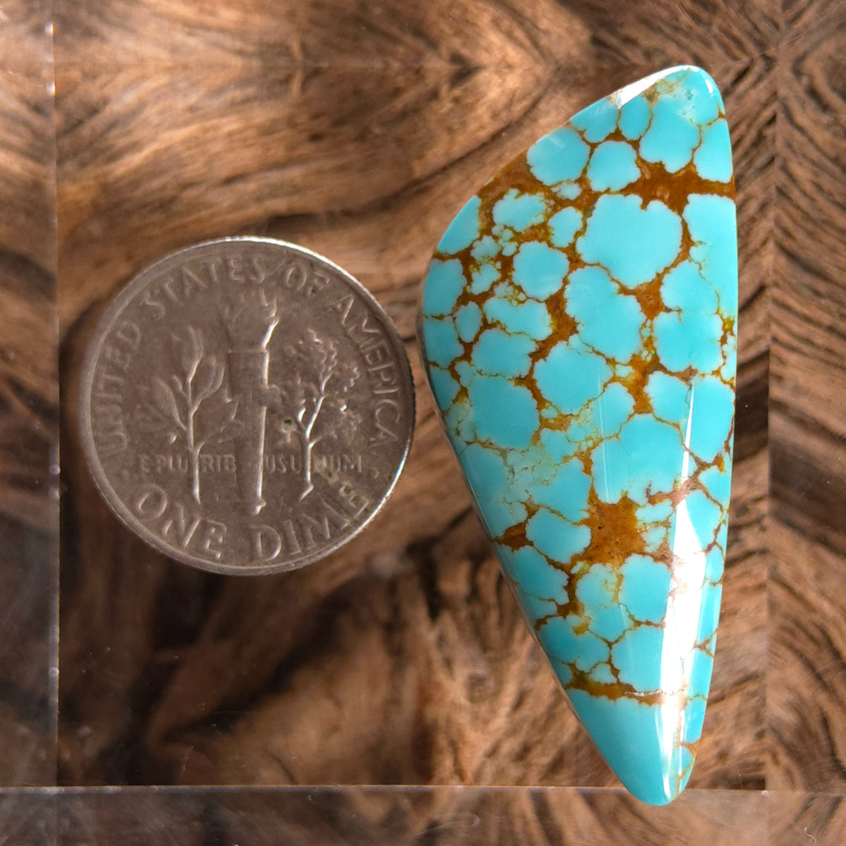 Stabilized #8 Turquoise Freeform