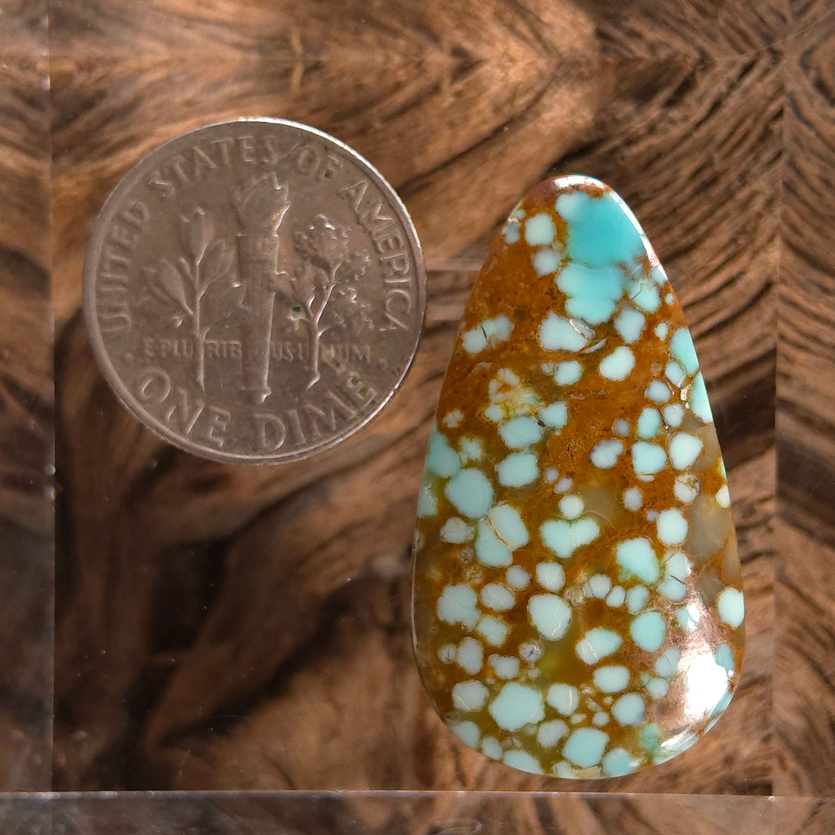 Stabilized #8 Turquoise Pear-Shaped