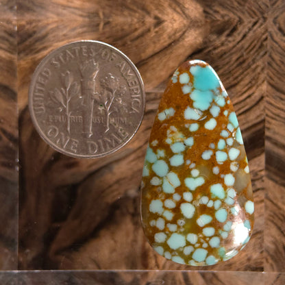 Stabilized #8 Turquoise Pear-Shaped
