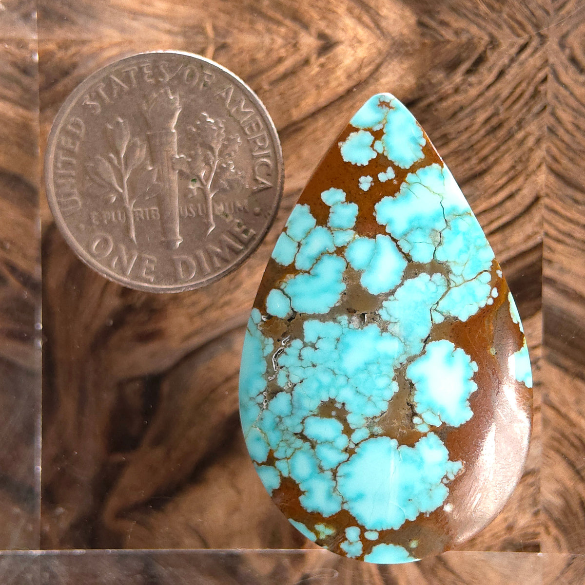 Stabilized #8 Turquoise Pear-Shaped