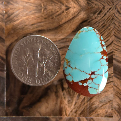 Stabilized #8 Turquoise Freeform