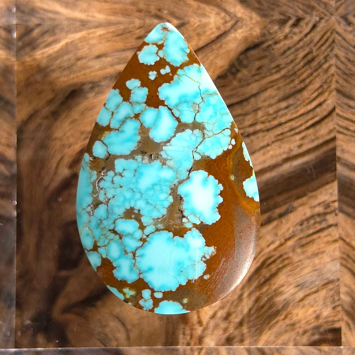 Stabilized #8 Turquoise Pear-Shaped