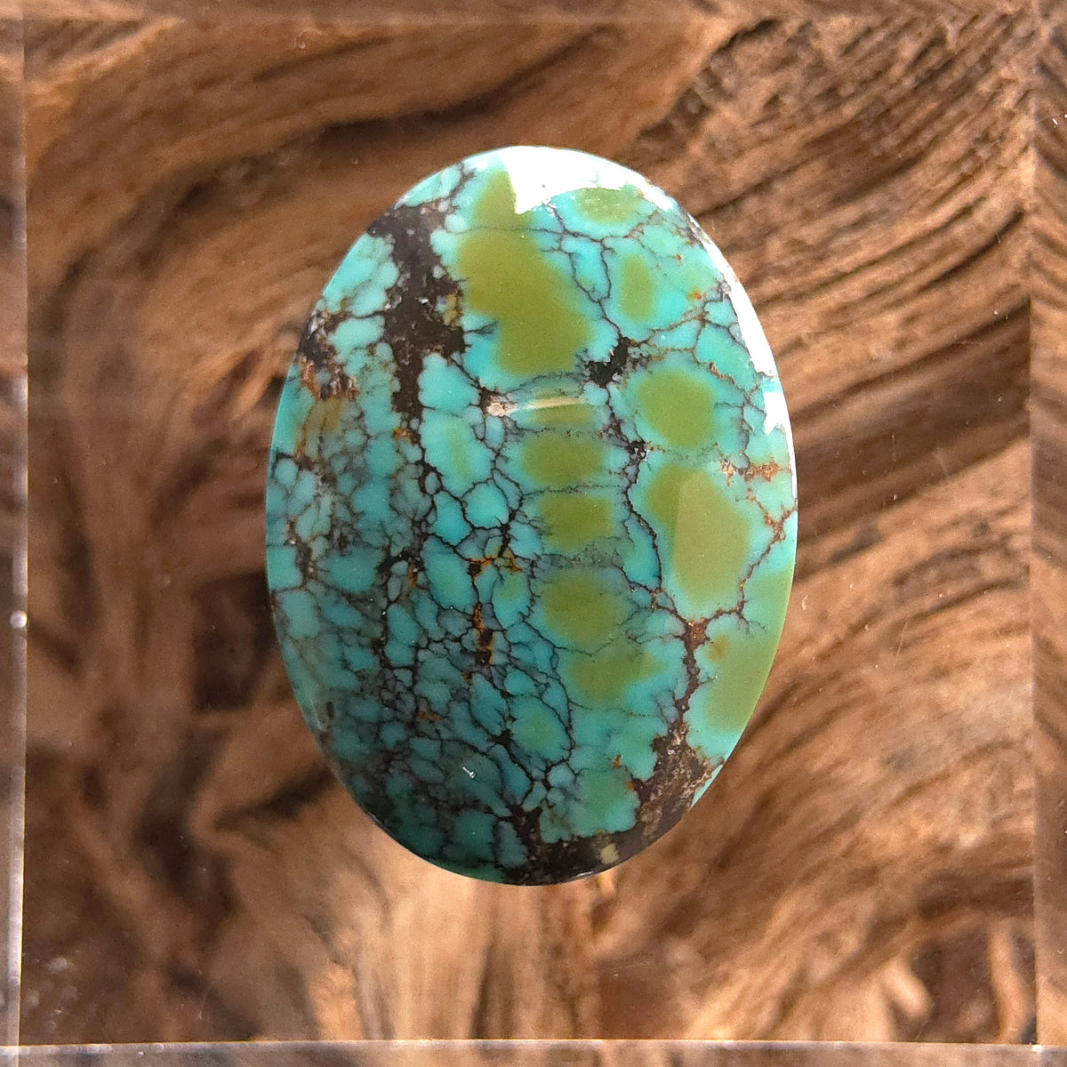 Stabilized Cloud Mountain Turquoise Oval