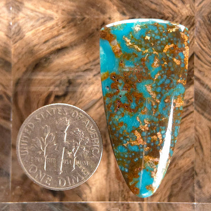 Stabilized Kingman Turquoise Tongue-Shaped