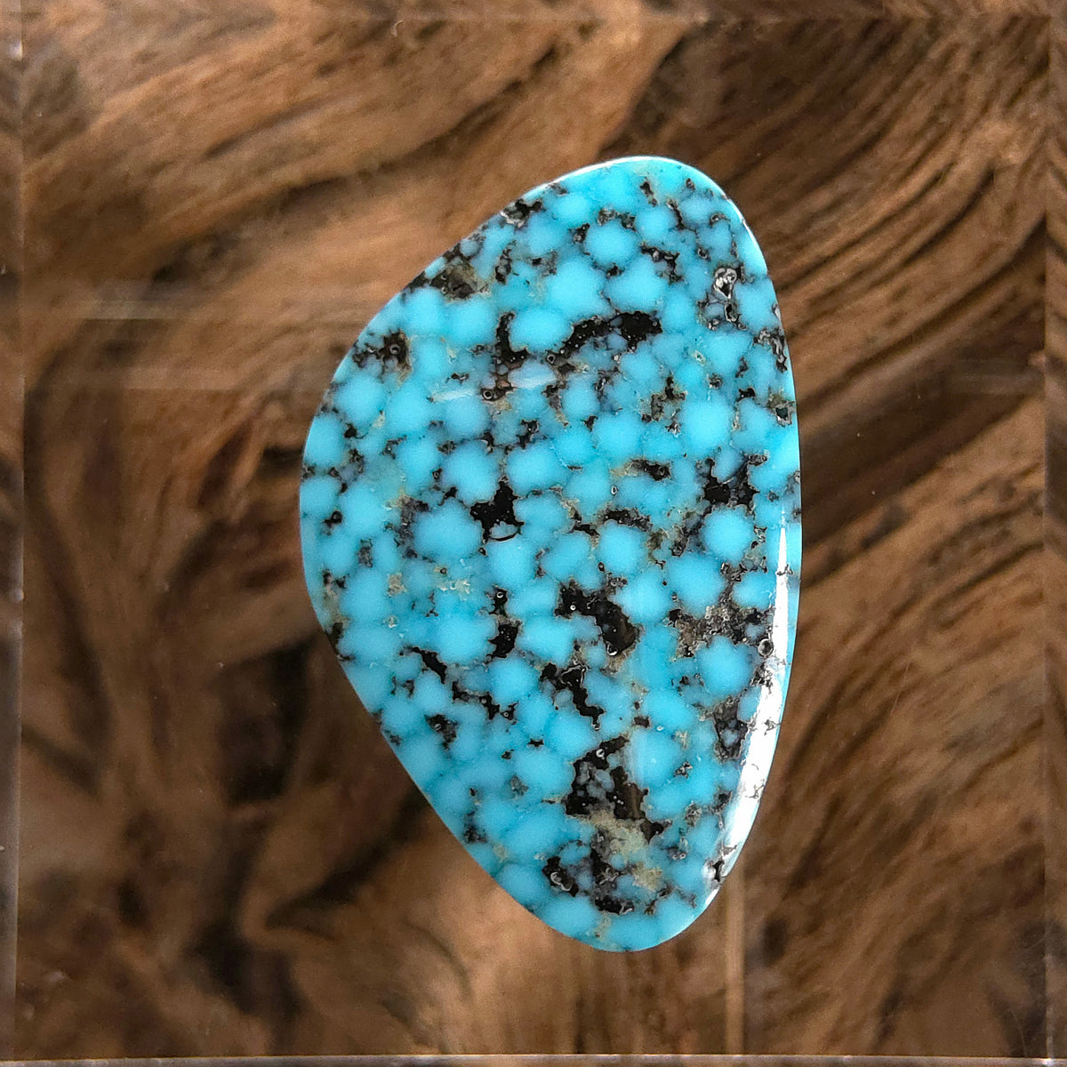 Natural Kingman Black Web Turquoise Triangular
