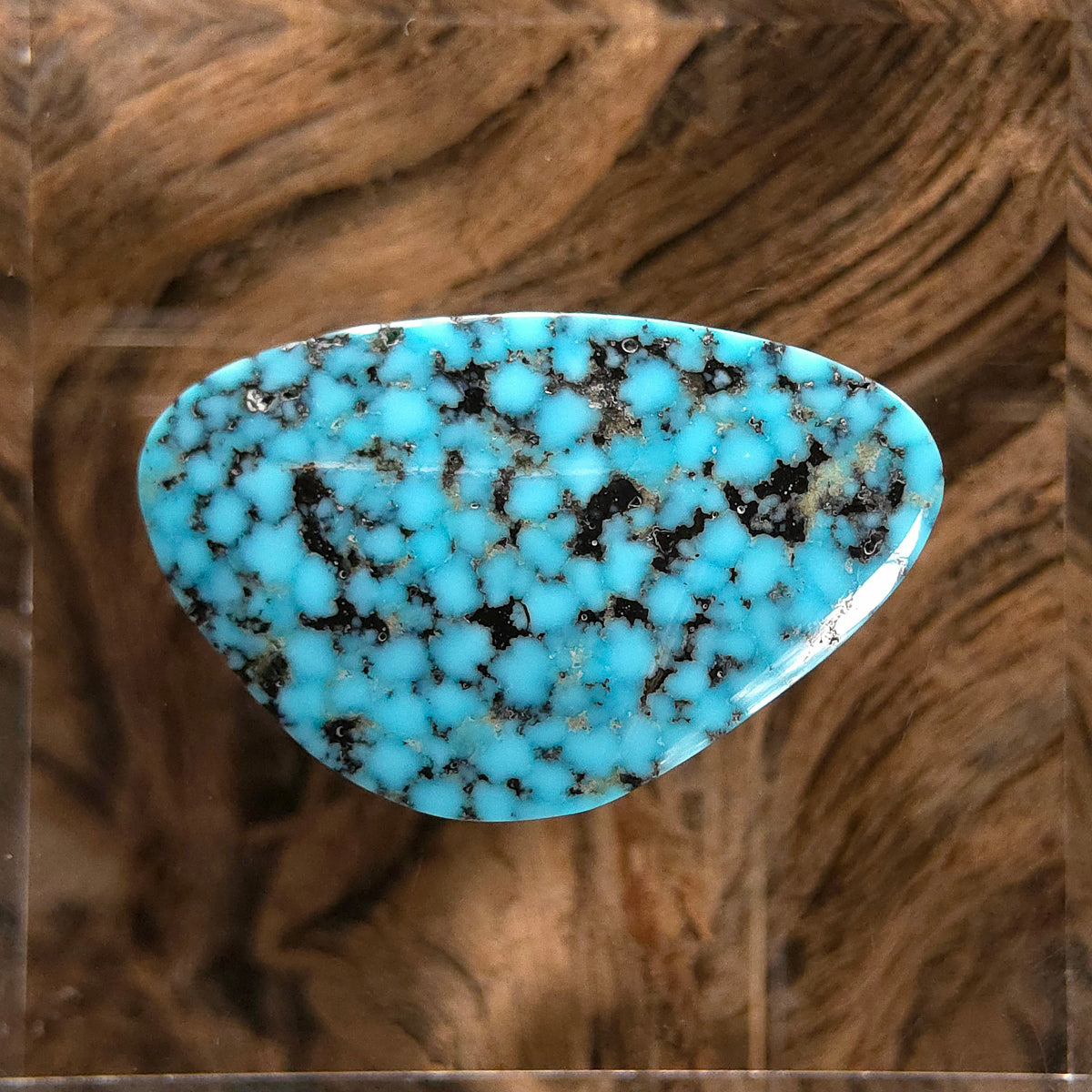 Natural Kingman Black Web Turquoise Triangular