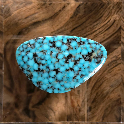 Natural Kingman Black Web Turquoise Triangular