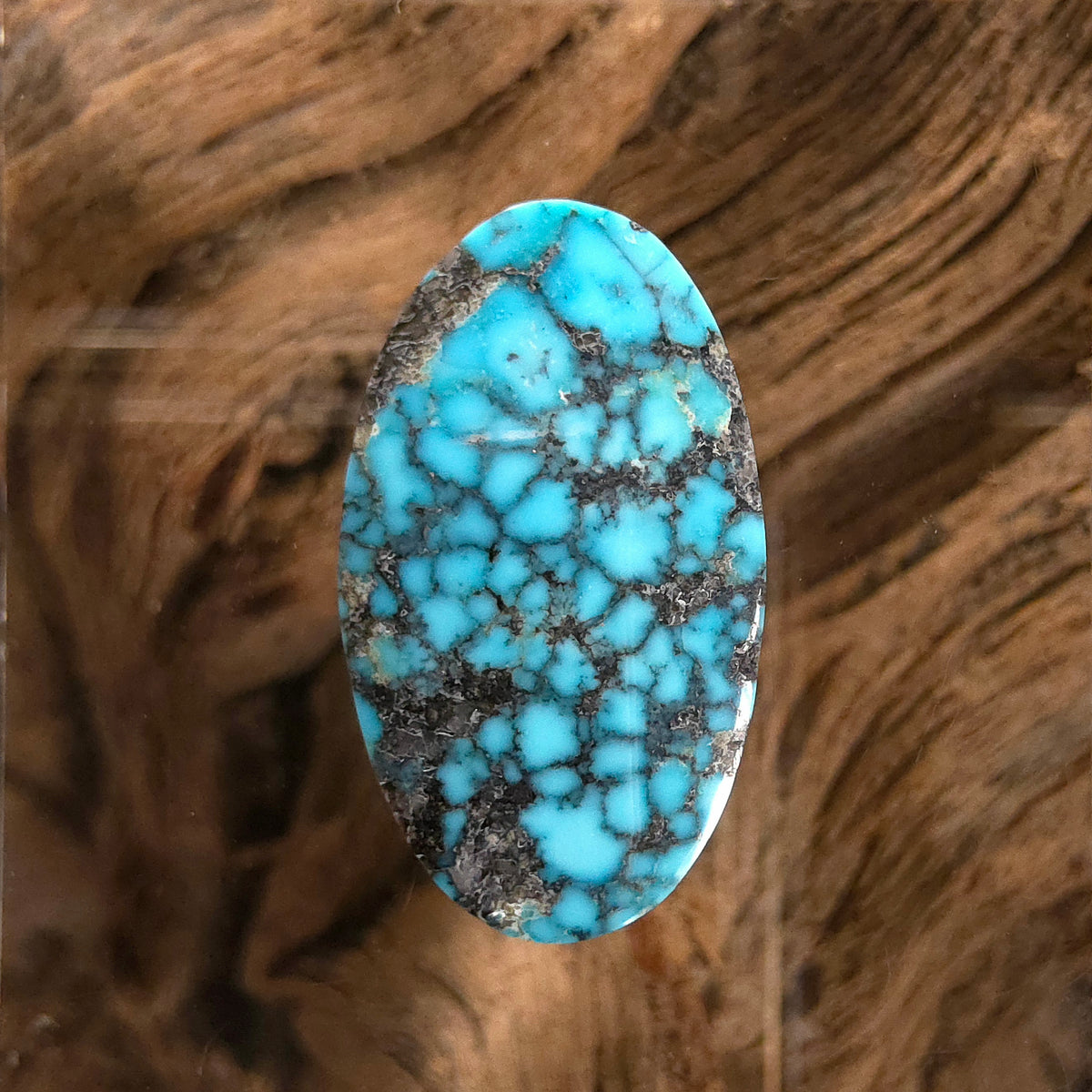 Natural Kingman Black Web Turquoise Oval