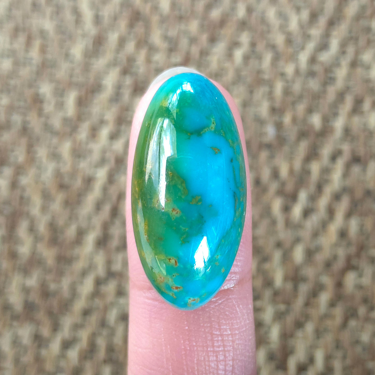 Stabilized Kingman Hardy Pit Turquoise Freeform High-Domed Oval