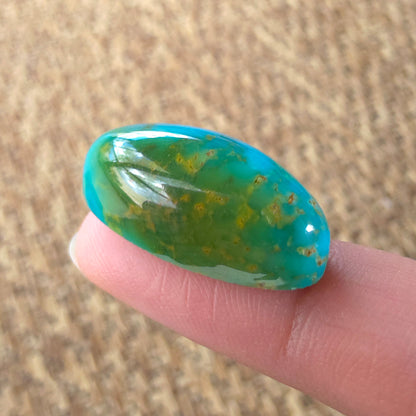 Stabilized Kingman Hardy Pit Turquoise Freeform High-Domed Oval