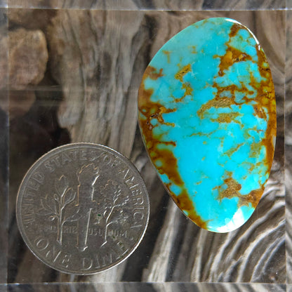 Stabilized Kingman Turquoise Freeform