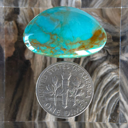 Stabilized Kingman Turquoise Freeform