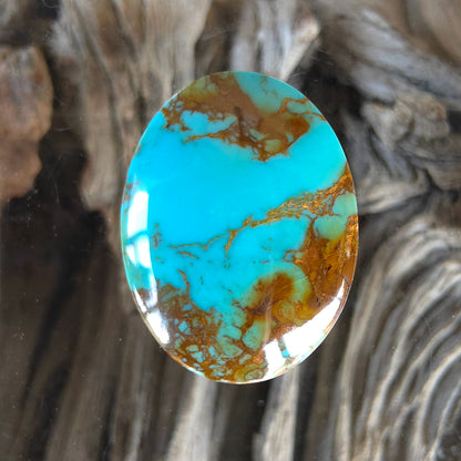 Stabilized Kingman Turquoise Oval