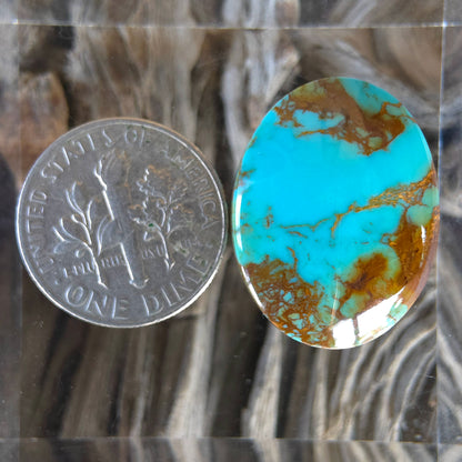 Stabilized Kingman Turquoise Oval