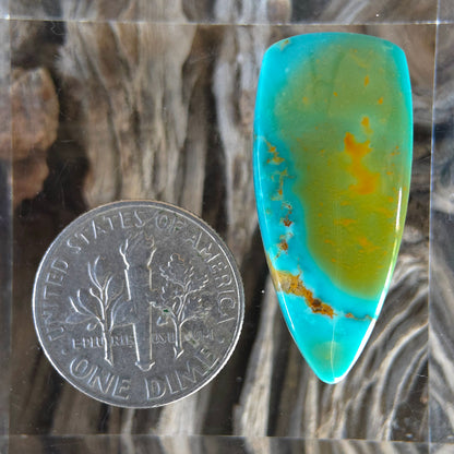 Stabilized Kingman Turquoise Freeform