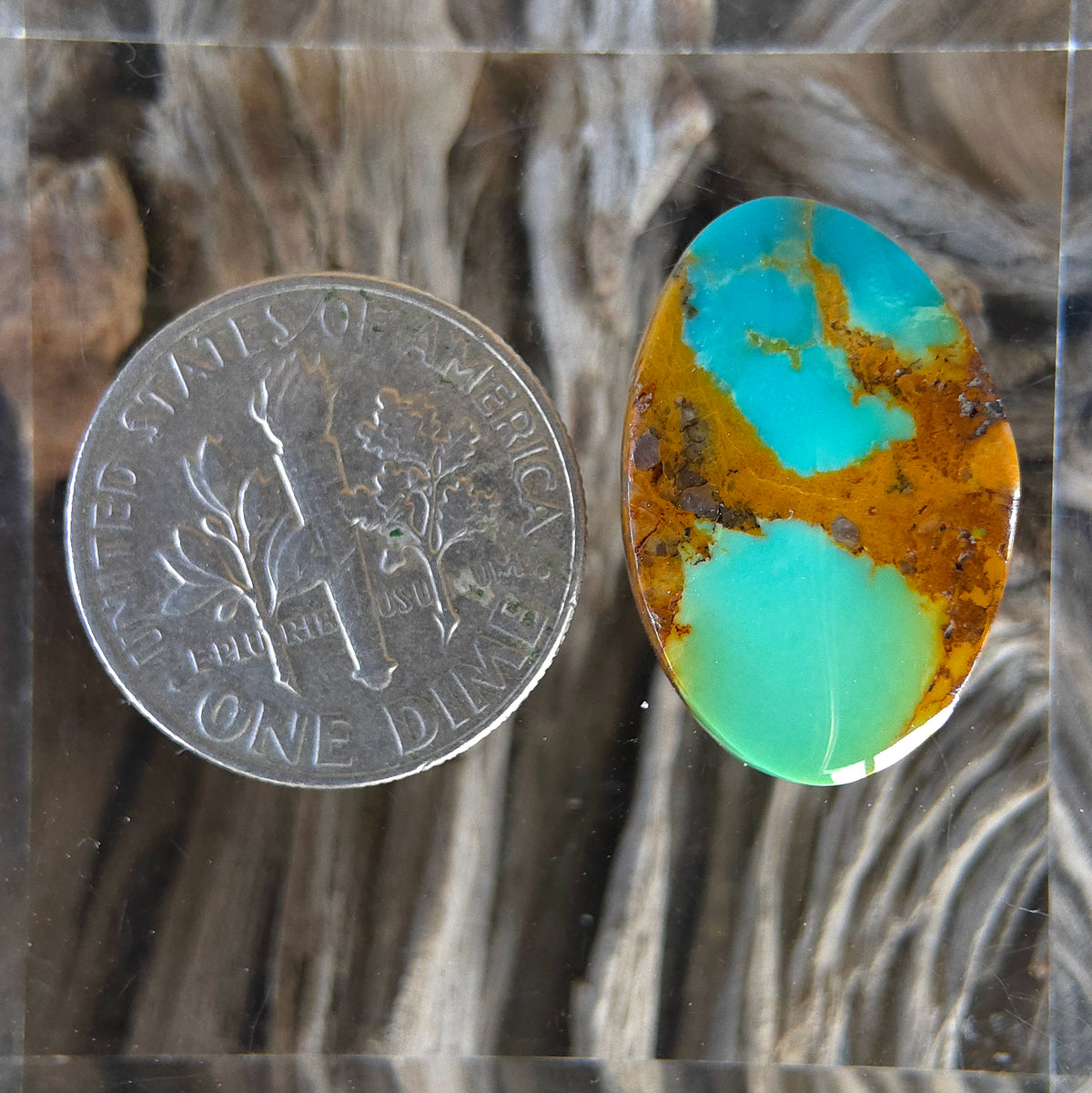 Stabilized Kingman Turquoise Freeform