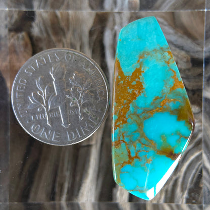 Stabilized Kingman Turquoise Freeform