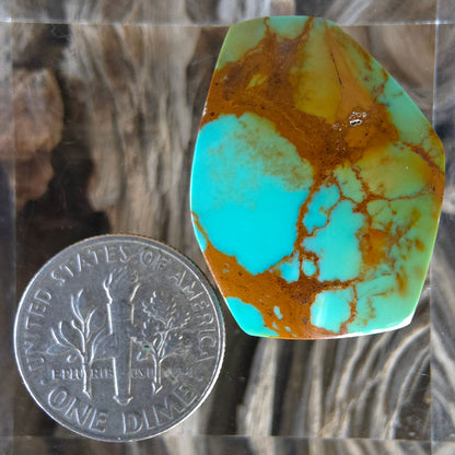 Stabilized Kingman Turquoise Freeform