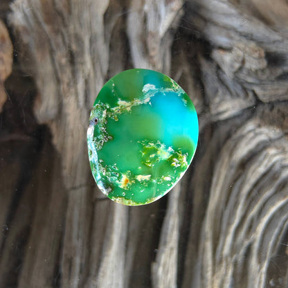 Stabilized Sonoran Gold Turquoise Freeform