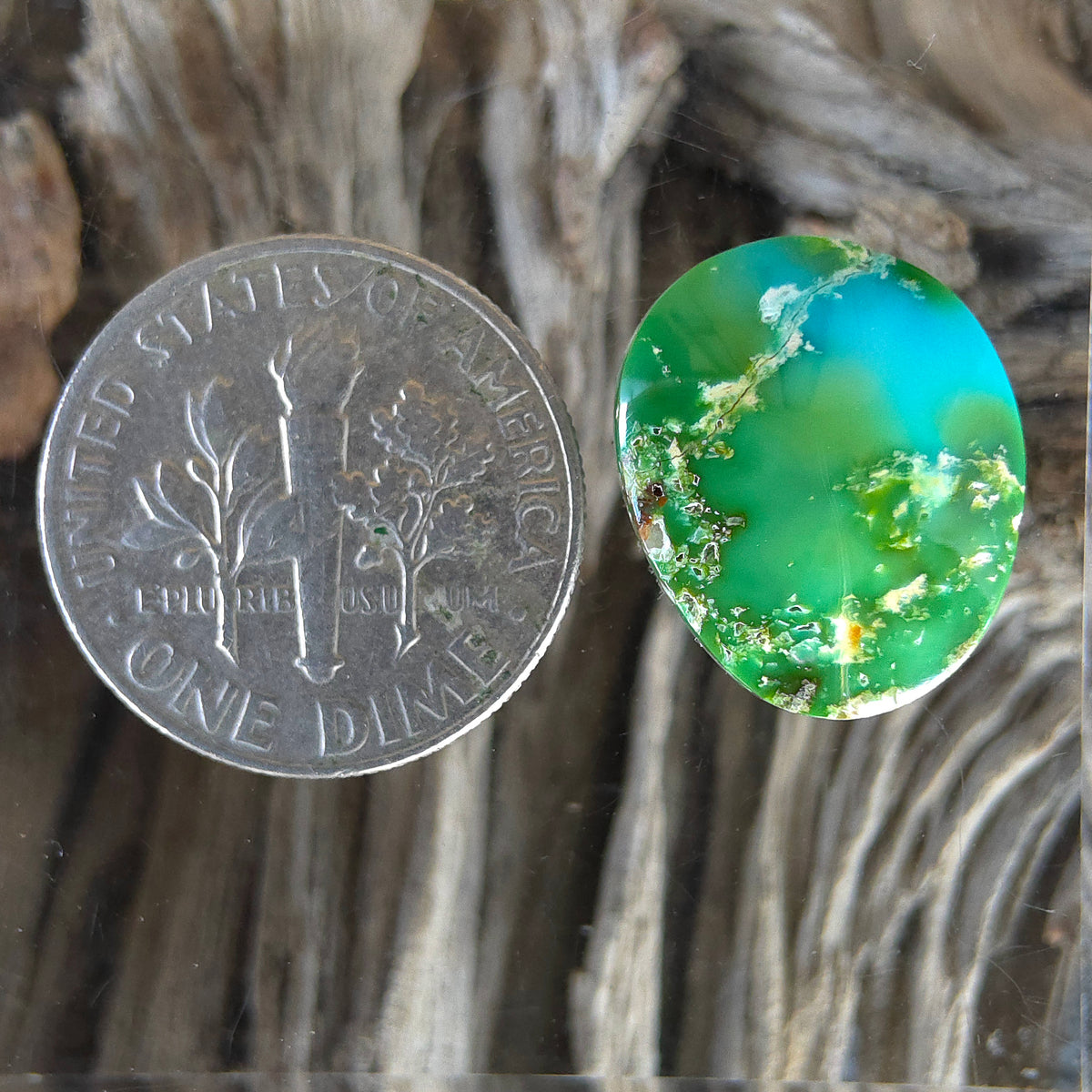 Stabilized Sonoran Gold Turquoise Freeform