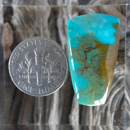Stabilized Kingman Turquoise Freeform