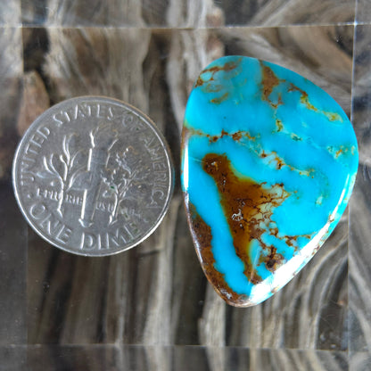 Stabilized Kingman Turquoise Freeform