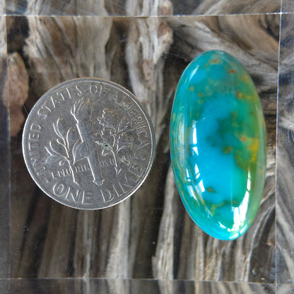 Stabilized Kingman Hardy Pit Turquoise Freeform High-Domed Oval
