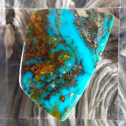 Stabilized Kingman Ceremonial Turquoise Freeform