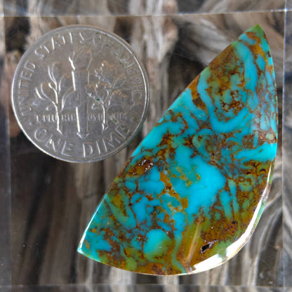 Stabilized Kingman Turquoise Freeform